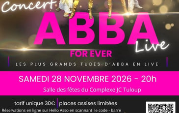 Concert ABBA for ever