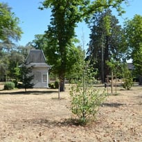 Visite guidée du Parc Laussedat