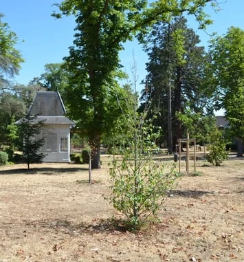 Visite guidée du Parc Laussedat