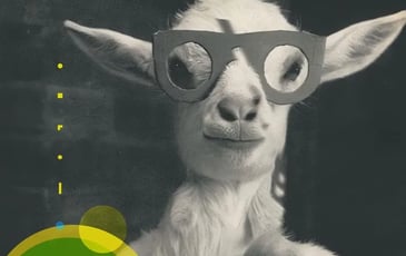 Animations flash