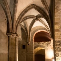Visite guidée des caves Bertine de Moulins