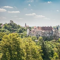 Visite commentée de l'abbaye Saint-Vincent