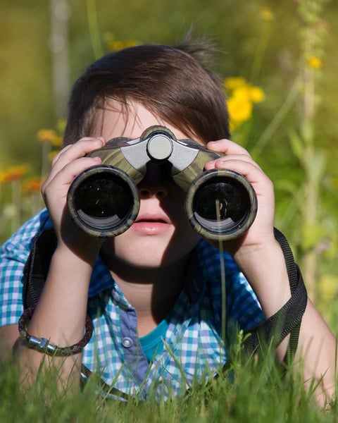 L’Apprenti