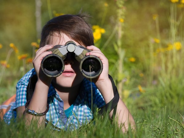 L’Apprenti
