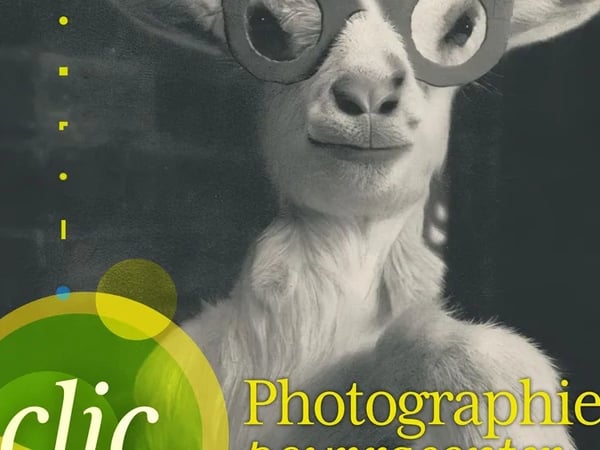 Clic. Photographier pour raconter